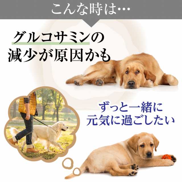 犬 猫用 関節 骨のケア サプリ 純度100 の グルコサミン 無添加 メール便 送料無料 の通販はau Pay マーケット 犬 のご飯とケーキのドッグダイナー