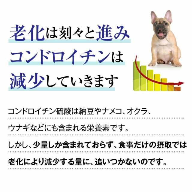 犬 猫用 関節 サプリメント 骨 げんき15g 無添加 粉末 メール便 送料無料 の通販はau Pay マーケット 犬のご飯とケーキのドッグダイナー