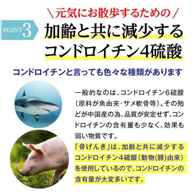 犬 猫用 関節 サプリメント 骨 げんき15g 無添加 粉末 メール便 送料無料 の通販はau Pay マーケット 犬のご飯とケーキのドッグダイナー