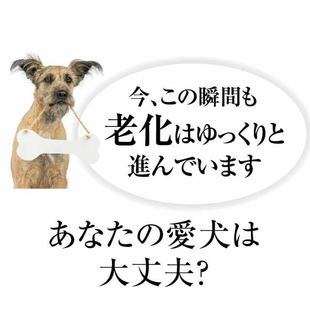 犬用 関節 サプリ グルコサミン コンドロイチン コラーゲン セット 無添加 メール便 送料無料 の通販はau Pay マーケット 犬 のご飯とケーキのドッグダイナー