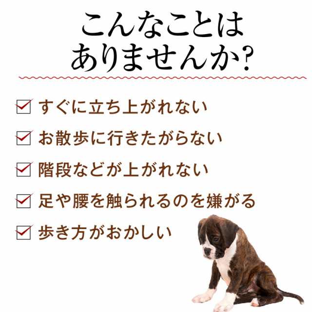 犬用 関節 サプリ グルコサミン コンドロイチン コラーゲン セット 無添加 メール便 送料無料 の通販はau Pay マーケット 犬 のご飯とケーキのドッグダイナー