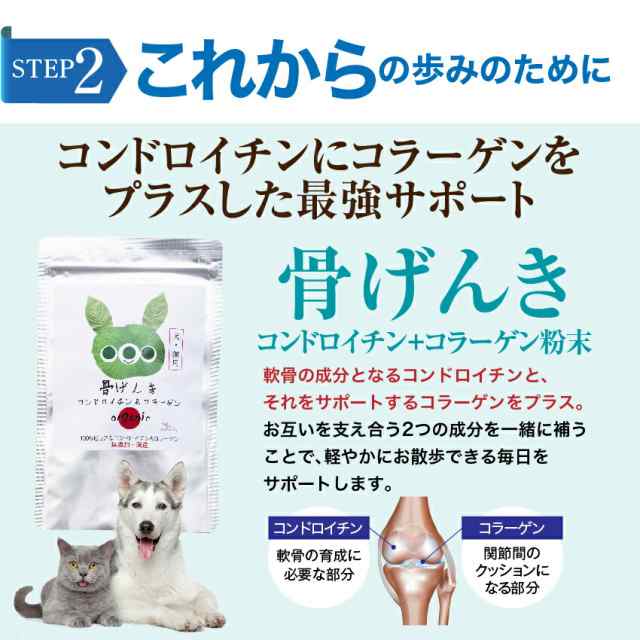 犬用 関節 サプリ グルコサミン コンドロイチン コラーゲン Msm ホネ骨ロック 無添加 メール便 送料無料 の通販はau Pay マーケット 犬のご飯とケーキのドッグダイナー