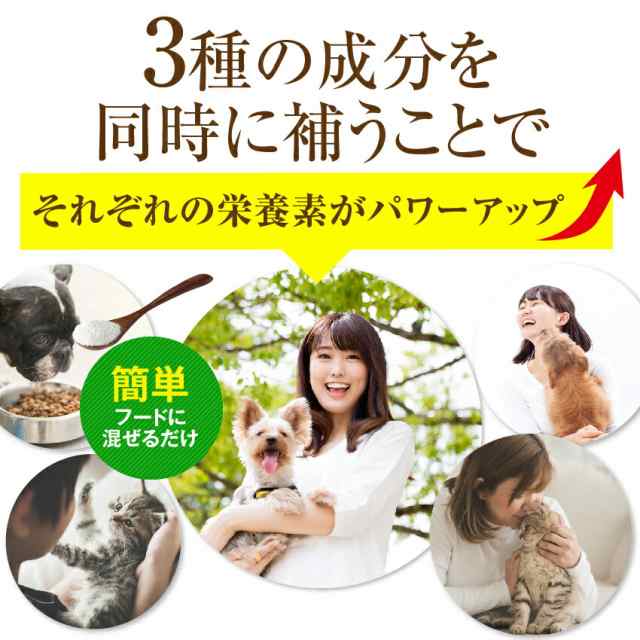 犬用 関節 サプリ グルコサミン コンドロイチン コラーゲン Msm ホネ骨ロック 無添加 メール便 送料無料 の通販はau Pay マーケット 犬のご飯とケーキのドッグダイナー