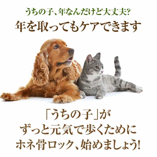 犬用 関節 サプリ グルコサミン コンドロイチン コラーゲン Msm ホネ骨ロック 無添加 メール便 送料無料 の通販はau Pay マーケット 犬のご飯とケーキのドッグダイナー