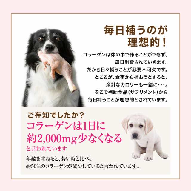 犬 猫 毛や皮膚のケア サプリ つやつや コラーゲン 0g 無添加 メール便 送料無料 の通販はau Pay マーケット 犬 のご飯とケーキのドッグダイナー