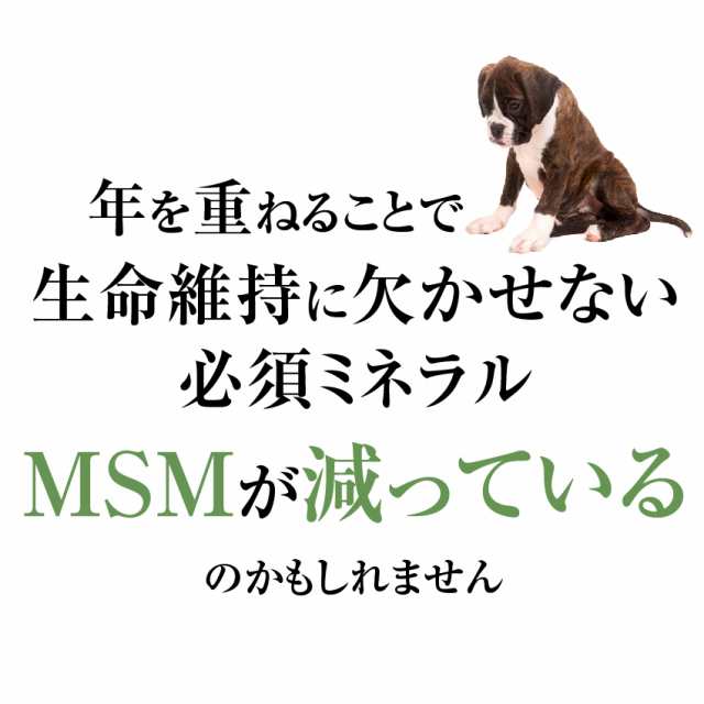 犬用 関節 骨 毛に サプリ 艶活 骨活 無添加 Msm メール便 送料無料 の通販はau Pay マーケット 犬のご飯とケーキのドッグダイナー