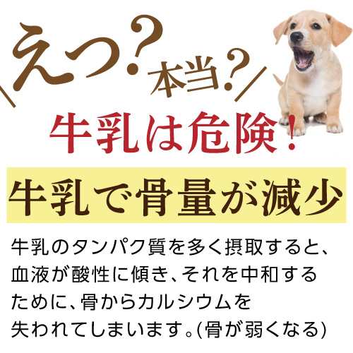 犬 猫 無添加 おやつ 関節に 正しいカルシウム ジャーキー 国産 通常便 の通販はau Pay マーケット 犬のご飯とケーキのドッグダイナー