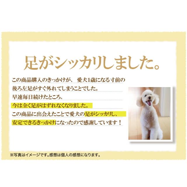 犬 老化 筋力 体力 サプリメント みらいのヒトサジ 無添加 高齢犬 シニア 送料無料 の通販はau Pay マーケット 犬 のご飯とケーキのドッグダイナー