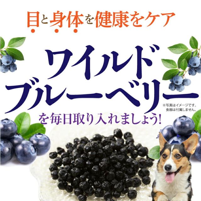 犬 猫の目に 無添加 有機 ブルーベリー ワイルドブルーベリー 100g 通常便 送料無料 の通販はau Pay マーケット 犬 のご飯とケーキのドッグダイナー