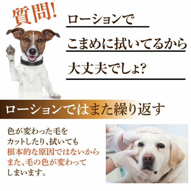 犬 猫用 涙焼け サプリ 目の周りパッチリ美人 30g 無添加 送料無料 さよなら 涙やけ くんは年７月末に商品名が変更となりました の通販はau Pay マーケット 犬のご飯とケーキのドッグダイナー