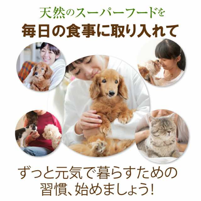 犬・猫用 サプリ(出けっせき(結石)取ります)無添加【メール便 送料無料】の通販はau PAY マーケット - 犬のご飯とケーキのドッグダイナー