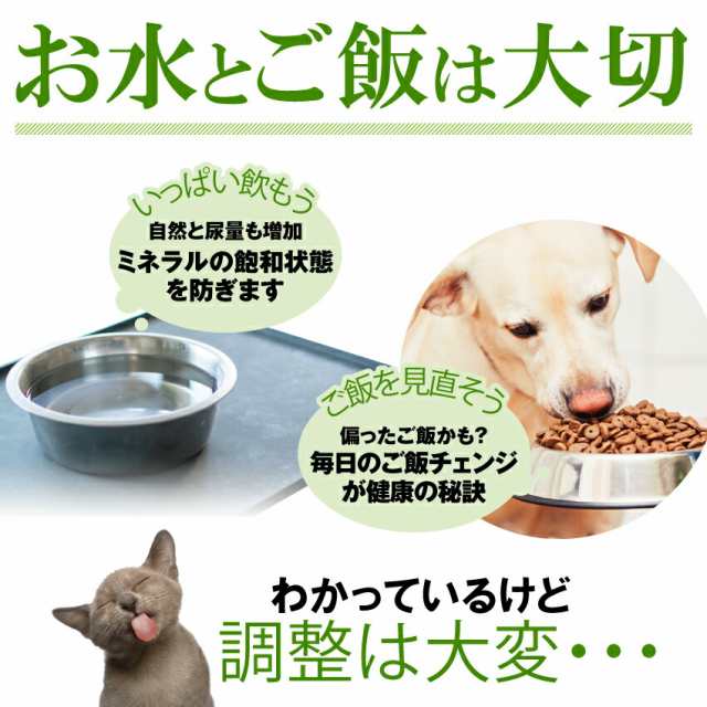 犬・猫用 サプリ(出けっせき(結石)取ります)無添加【メール便 送料無料 