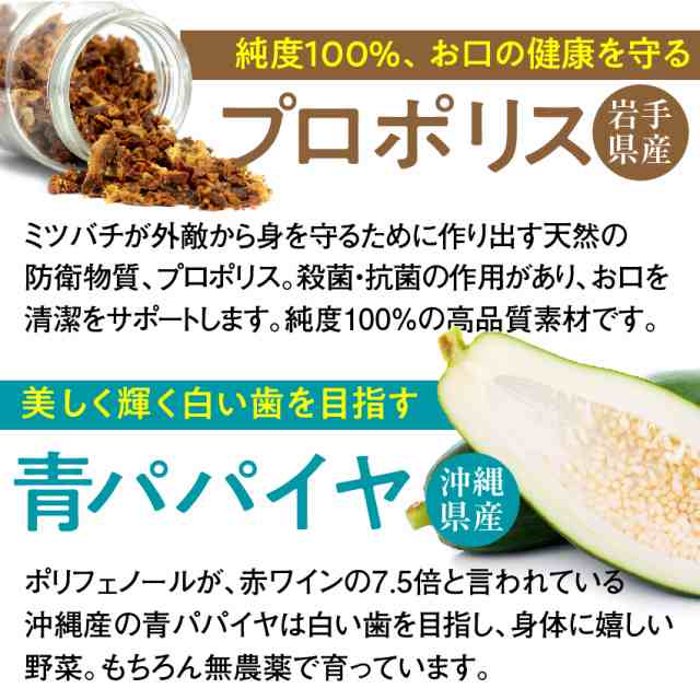犬・犬用 無添加 サプリ おやつ 5点セット(歯に良いゴーゴー セット)歯磨き・歯石・歯垢に 国産【通常便 送料無料】|au PAY マーケット 犬・犬用 無添加 サプリ おやつ 5点セット(歯に良いゴーゴー セット)歯磨き・歯石・歯垢に 国産【通常便 送料無料】|au PAY マーケット