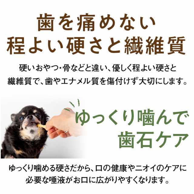 犬 犬用 無添加 サプリ おやつ ５点セット 歯に良いゴーゴー セット 歯磨き 歯石 歯垢に 国産 通常便 送料無料 の通販はau Pay マーケット 犬のご飯とケーキのドッグダイナー