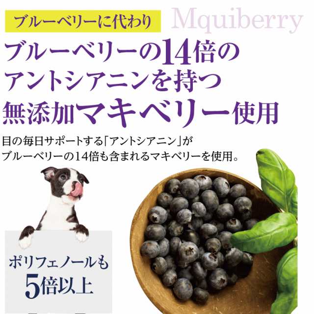 犬 ペットの目の健康維持に ワイルド ブルーベリー 目の革命 アイケアセット 無添加 おやつ サプリ 通常便 送料無料 の通販はau Pay マーケット 犬のご飯とケーキのドッグダイナー