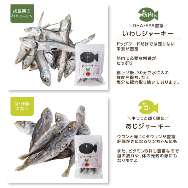 およげ さかな君 ５袋の通販はau Pay マーケット 犬のご飯とケーキのドッグダイナー