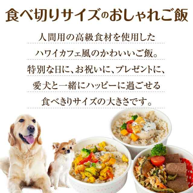 着後レビューで 犬 手作りご飯 犬用 お子様ランチ ごはん ３個 無添加 国産 冷凍 Shipsctc Org