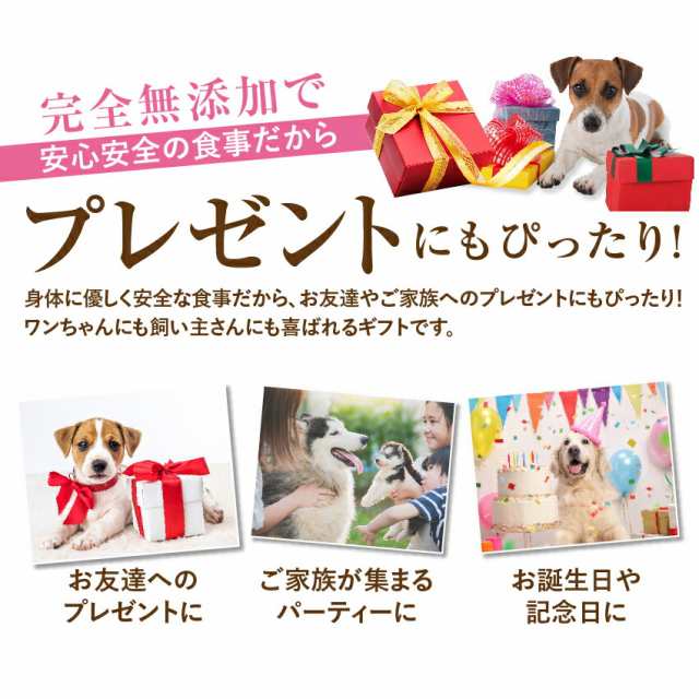 着後レビューで 犬 手作りご飯 犬用 お子様ランチ ごはん ３個 無添加 国産 冷凍 Shipsctc Org