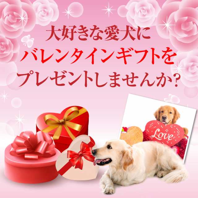 期間限定販売 犬用 バレンタイン ケーキ 手作りご飯 セット ミニ ハート For ヴァレンタイン の通販はau Pay マーケット 犬 のご飯とケーキのドッグダイナー