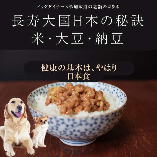 無添加 国産の犬用おやつ 犬 おやつ バイキング 15袋 送料無料 おせんべい フリーズドライ 納豆 等8種より選べますの通販はau Pay マーケット 犬のご飯とケーキのドッグダイナー