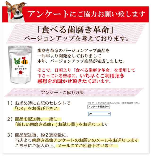 全ての 新品 サプリメント デンタルケア 歯石予防 無添加 天然 口臭 50g サプリ A Q4 食べる歯磨き革命 犬 猫用 目玉 その他 Labelians Fr