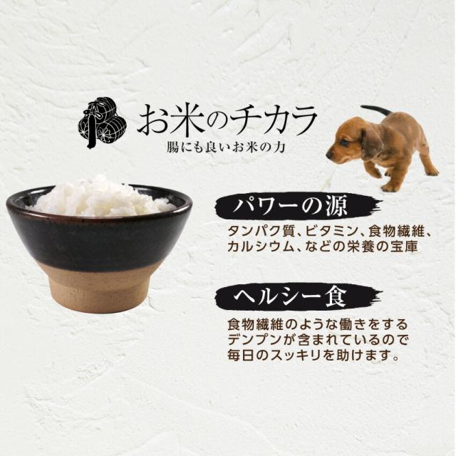 無添加 国産の犬用おやつ 犬 おやつ バイキング 15袋 送料無料 おせんべい フリーズドライ 納豆 等8種より選べますの通販はau Pay マーケット 犬のご飯とケーキのドッグダイナー