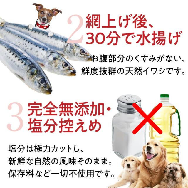 犬 猫 無添加 関節 おやつ いわし ジャーキー 3袋 国産 魚 送料無料 の通販はau Pay マーケット 犬のご飯とケーキのドッグダイナー