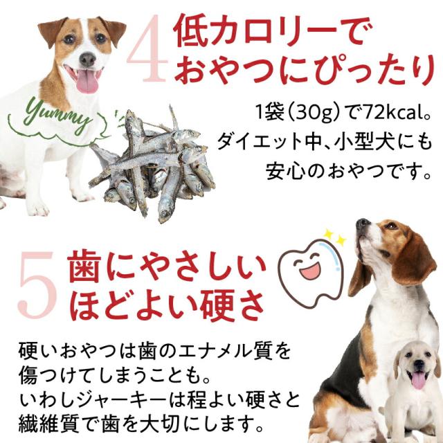 犬 猫 無添加 関節 おやつ いわし ジャーキー 3袋 国産 魚 送料無料 の通販はau Pay マーケット 犬のご飯とケーキのドッグダイナー