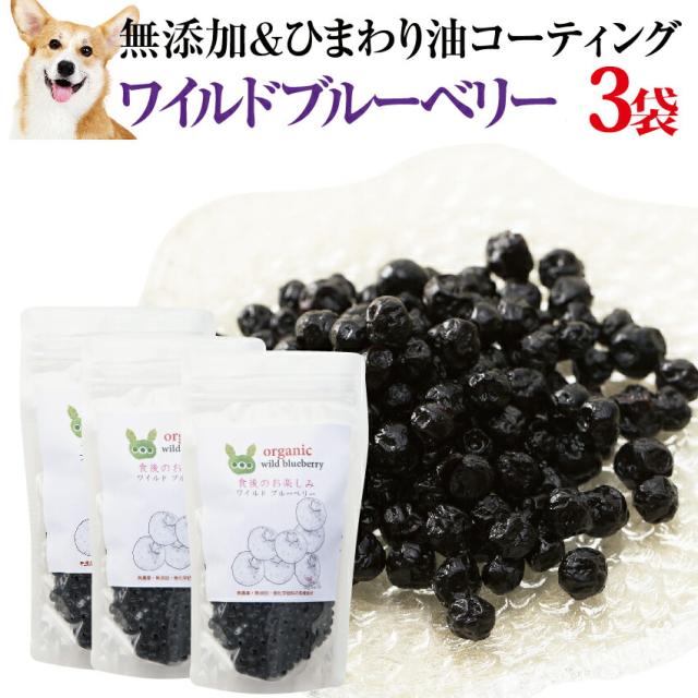 犬 ペットの目 に 有機 無添加 ブルーベリー ワイルドブルーベリー 1袋100g 3袋 おやつ 通常便 送料無料 の通販はau Pay マーケット 犬のご飯とケーキのドッグダイナー