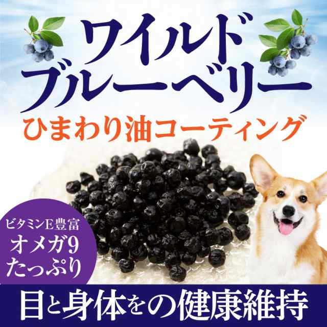 犬 猫の目に 無添加 有機 ブルーベリー ワイルドブルーベリー 100g 通常便 送料無料 の通販はau Pay マーケット 犬 のご飯とケーキのドッグダイナー