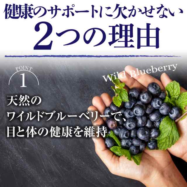 犬 猫の目に 無添加 有機 ブルーベリー ワイルドブルーベリー 100g 通常便 送料無料 の通販はau Pay マーケット 犬 のご飯とケーキのドッグダイナー