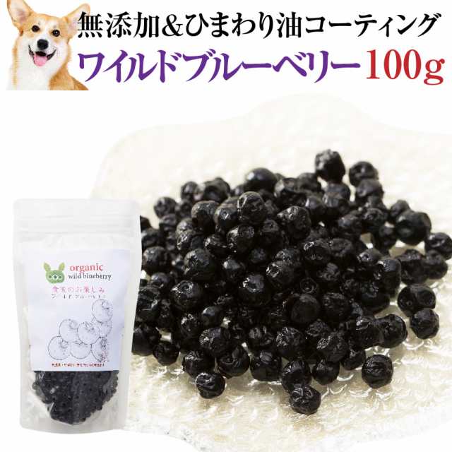 犬 猫の目に 無添加 有機 ブルーベリー ワイルドブルーベリー 100g 通常便 送料無料 の通販はau Pay マーケット 犬 のご飯とケーキのドッグダイナー