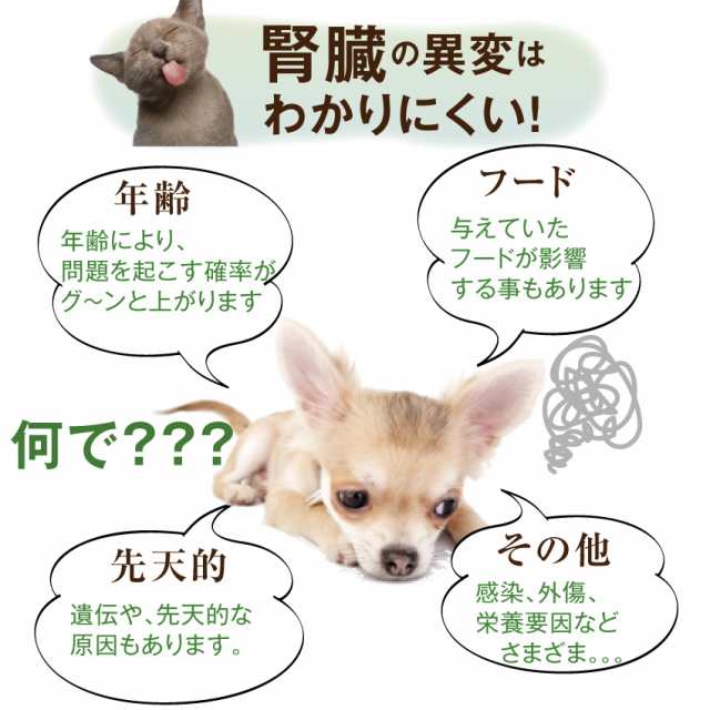 犬 猫用 サプリ かん腎 腎臓 かなめ 無添加 メール便 送料無料 の通販はau Pay マーケット 犬のご飯とケーキのドッグダイナー