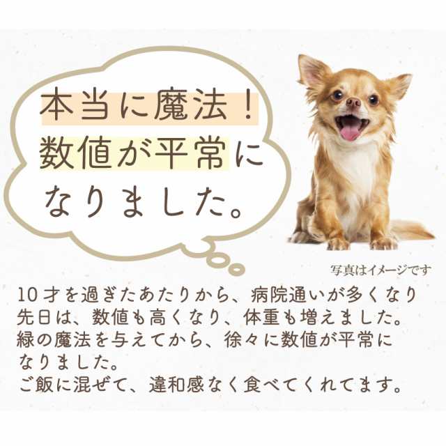 犬 猫用 年齢 体型 若さに 無添加 サプリメント 緑の魔法 送料無料 の通販はau Pay マーケット 犬のご飯とケーキのドッグダイナー