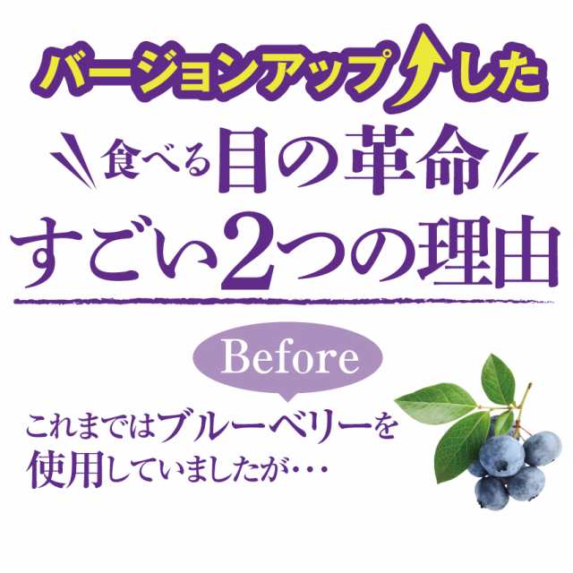 バージョンアップしました 犬 猫用 目のケア サプリ 食べる 目の 革命 30g 無添加 ブルーベリー 配合 粉末 メール便 送料無料 の通販はau Pay マーケット 犬のご飯とケーキのドッグダイナー