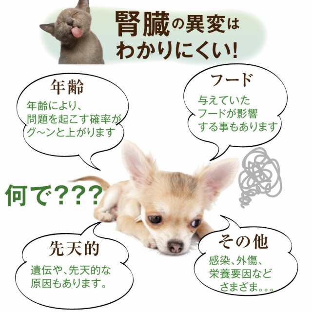 犬・猫用 サプリ(かん腎(腎臓)かなめ)無添加【メール便・送料無料】の通販はau PAY マーケット - 犬のご飯とケーキのドッグダイナー