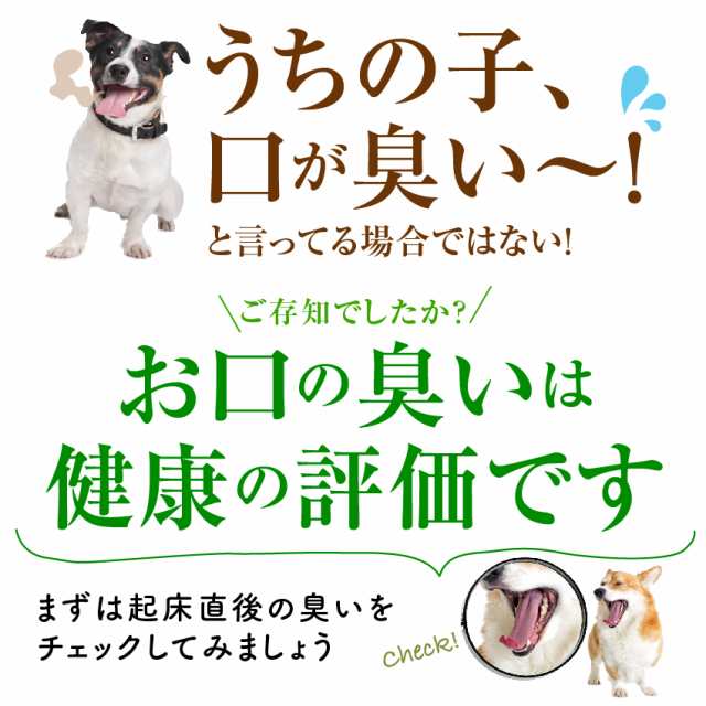 新 獣医推奨 犬 猫 歯石 歯垢 サプリ 食べる 歯磨き 革命 100g 無添加の通販はau Pay マーケット 犬のご飯とケーキのドッグダイナー