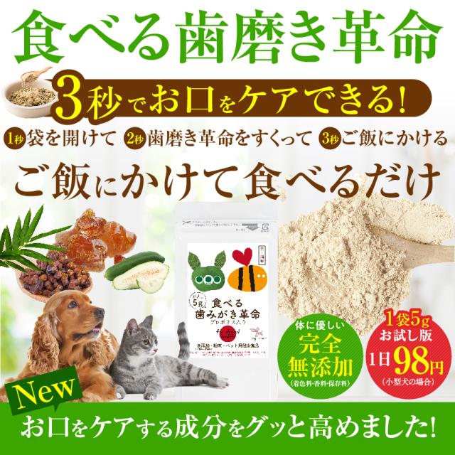 新 獣医も推奨 犬 猫の歯石 歯垢 口の臭いに 食べる歯磨き革命 お試し 歯磨きが苦手な犬用 無添加 サプリ 5g 小型犬 約10日分 の通販はau Pay マーケット 犬のご飯とケーキのドッグダイナー 新 獣医も推奨 犬 猫の歯石 歯垢 口の臭いに 食べる歯磨き革命 お試し 歯磨きが苦手な犬用 無添加 サプリ 5g 小型犬 約10日分 の通販はau Pay マーケット 犬のご飯とケーキのドッグダイナー