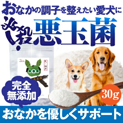 犬 ペット用 乳酸菌 腸 サプリ 必殺 悪玉菌 無添加 送料無料 の通販はau Pay マーケット 犬のご飯とケーキのドッグダイナー