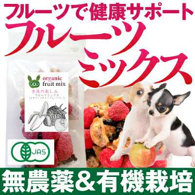 犬 果物 おやつ 食後の楽しみ フルーツ ミックス無添加 苺 バナナ ブルーベリー 通常便 の通販はau Pay マーケット 犬 のご飯とケーキのドッグダイナー