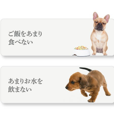 犬 手作りご飯 犬用 お散歩 スープ 無添加 国産 小分け 冷凍 の通販はau Pay マーケット 犬のご飯とケーキのドッグダイナー