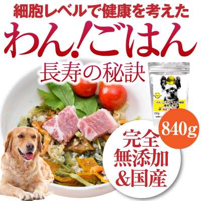 犬 手作りご飯 ドッグフード わんごはん 長寿の秘訣 840g 無添加 国産 高齢犬 シニア 老犬の通販はau Pay マーケット 犬のご飯 とケーキのドッグダイナー