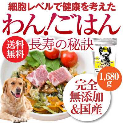 お気にいる 犬 手作りごはん ドッグフード 送料無料 高齢犬 シニア 通常便 国産 1680g 無添加 長寿の秘訣 わんごはん 犬用品 わんごはん 長寿の秘訣 6袋