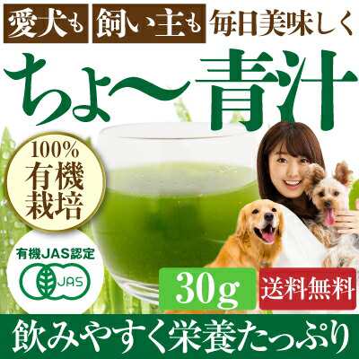 犬 猫の腸 便秘 サポート サプリメント ちょー 青汁 30g 粉末 無添加 メール便 送料無料 の通販はau Pay マーケット 犬 のご飯とケーキのドッグダイナー