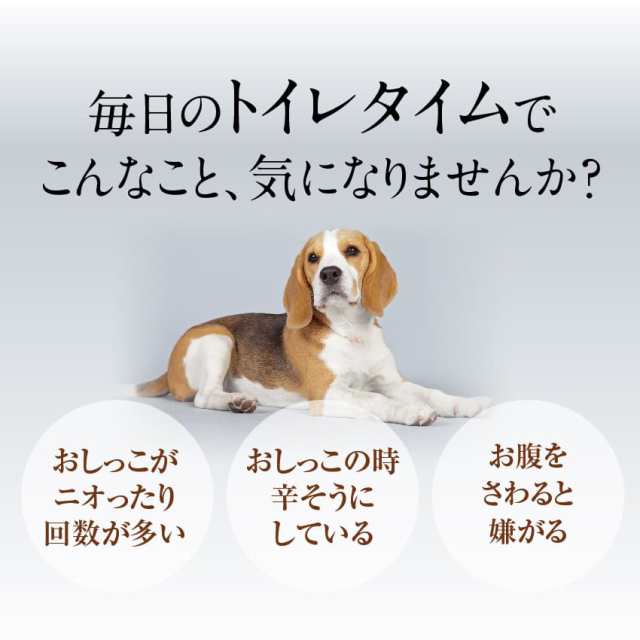 犬 猫用 サプリ おやつで出けっせき 結石 取ります 無添加の通販はau Pay マーケット 犬のご飯とケーキのドッグダイナー