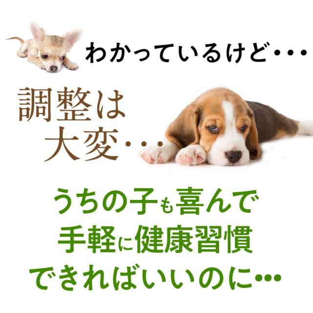 犬 猫用 サプリ おやつで出けっせき 結石 取ります 無添加の通販はau Pay マーケット 犬のご飯とケーキのドッグダイナー