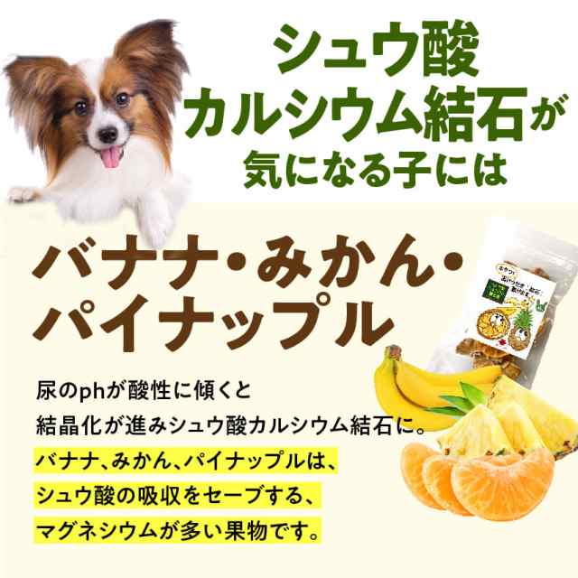 犬 猫用 サプリ おやつで出けっせき 結石 取ります 無添加の通販はau Pay マーケット 犬のご飯とケーキのドッグダイナー