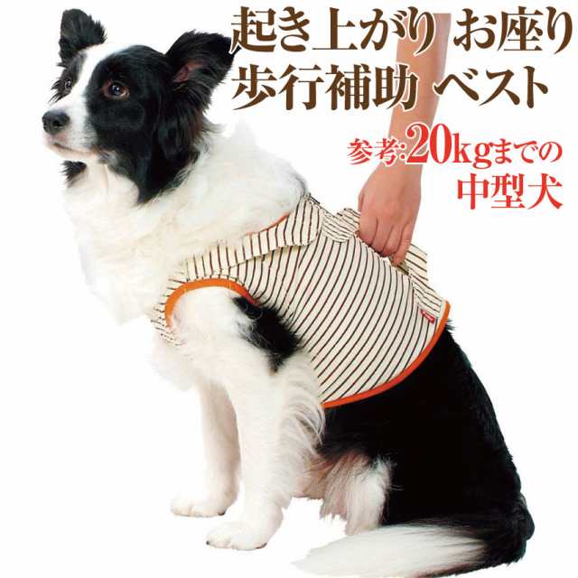 犬 歩行補助 介護用品 ベスト ハーネス 2l 高齢犬 シニア犬 老犬の為の胴輪の通販はau Pay マーケット 犬のご飯とケーキのドッグダイナー