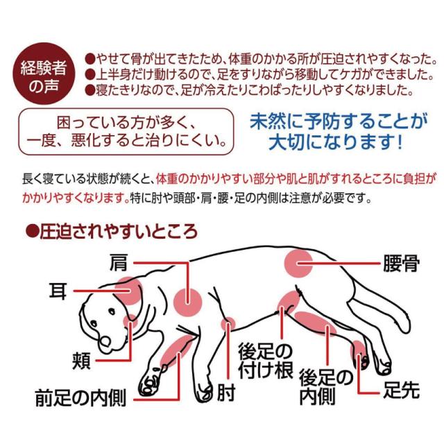犬の床ずれ予防 床ずれ サポーター S ４個入 高齢犬 シニア 老犬 対応 の通販はau Pay マーケット 犬のご飯とケーキのドッグダイナー