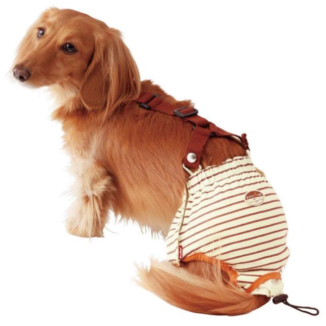 犬用 おむつパンツ M サスペンダー 付き 老犬介護 生理 サニタリーパンツ カバーの通販はau Pay マーケット 犬 のご飯とケーキのドッグダイナー